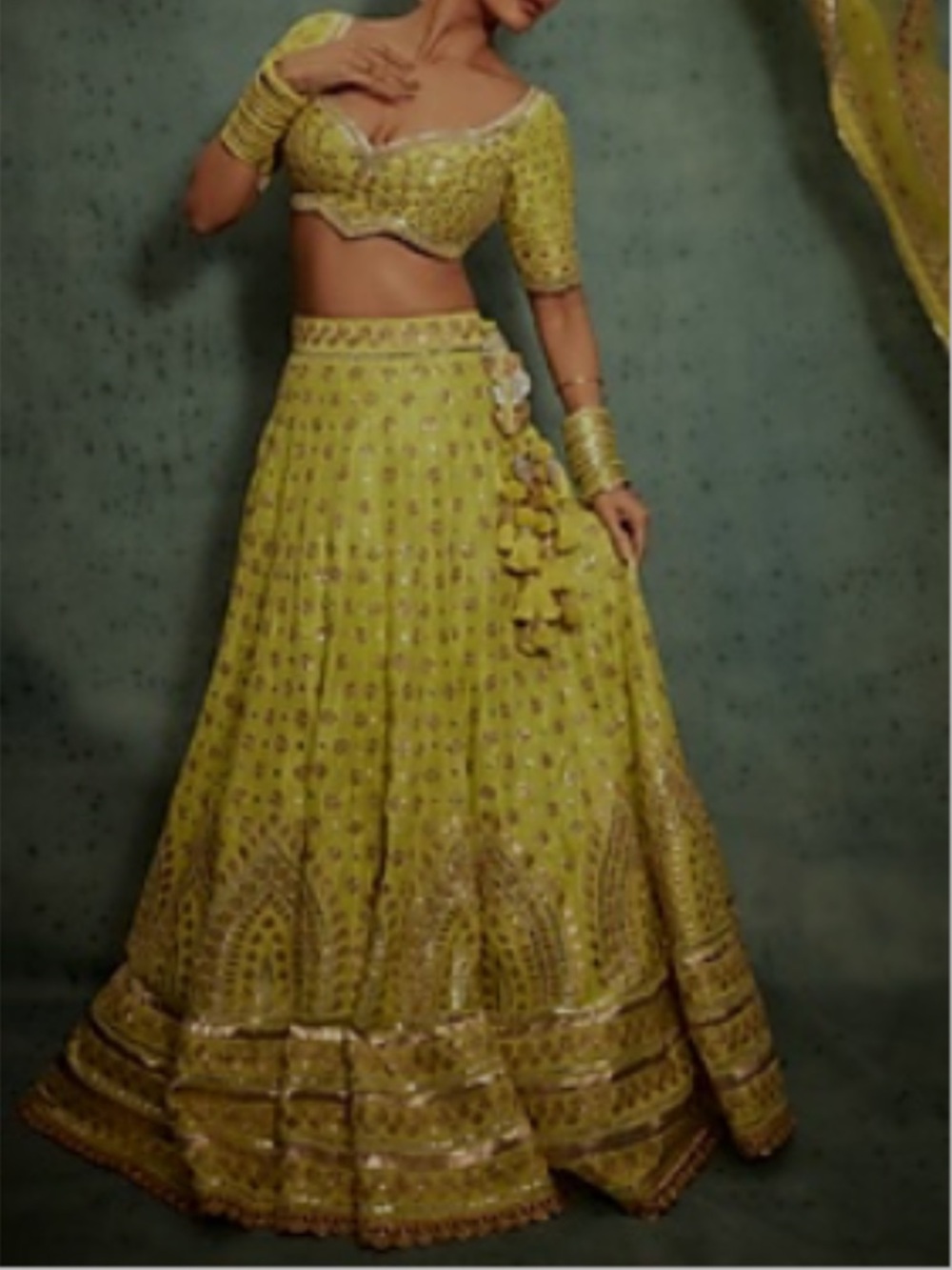 Green Lehenga Choli Set
